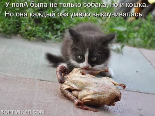26007428d272c2bca59547ec35c_prev