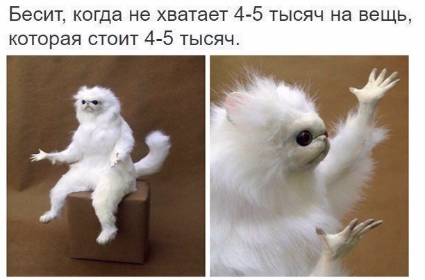 Ну очень остроумные подписи к картинкам Ну очень остроумные подписи к картинкам