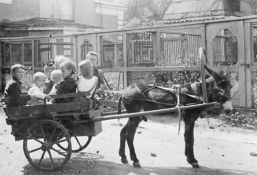 Как ленинградский зоопарк пережил блокаду spbzoo03 Как ленинградский зоопарк пережил блокаду