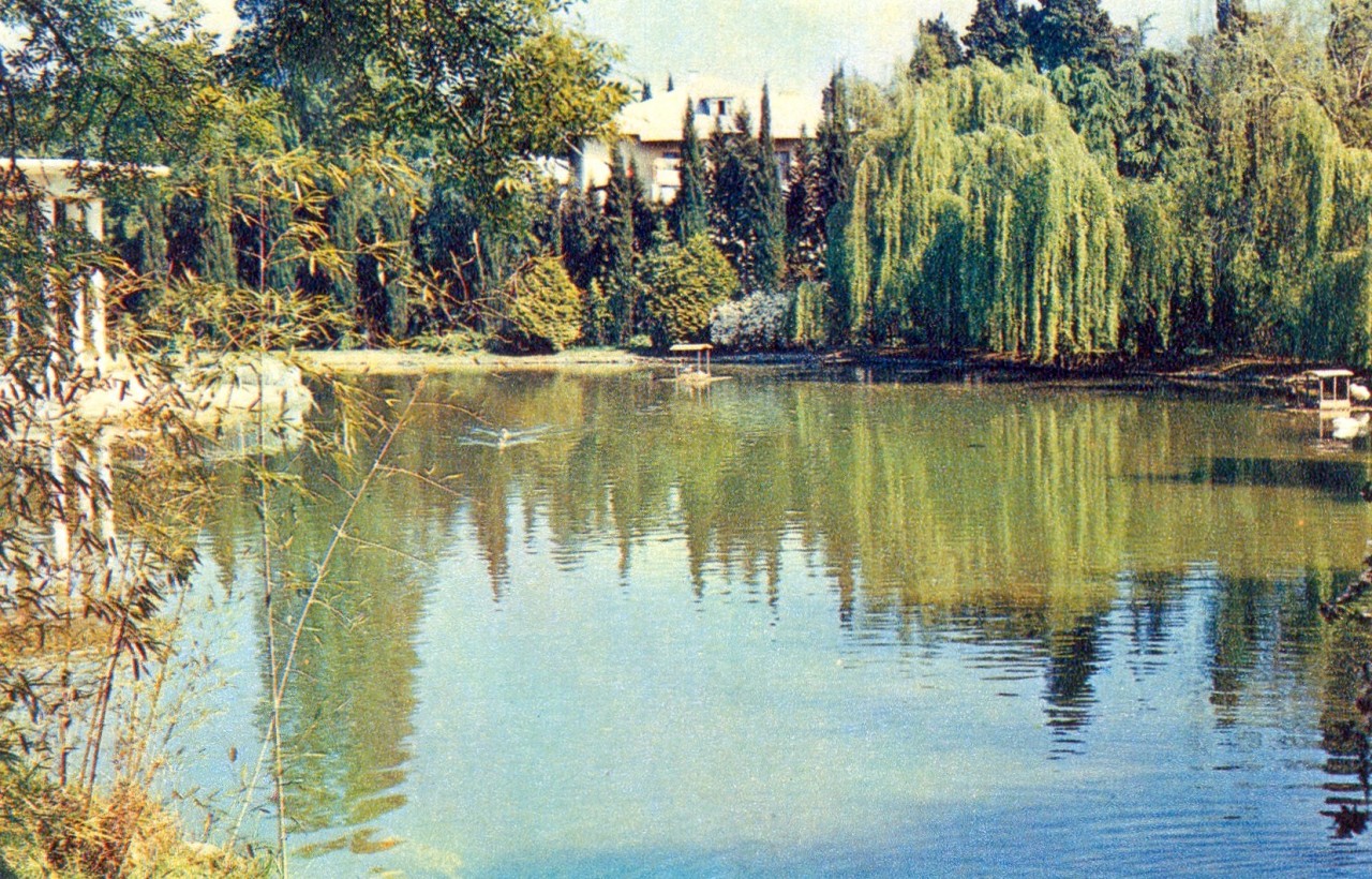 ZAVODFOTO / История городов России в фотографиях: Сочи в 1972 году ZAVODFOTO / История городов России в фотографиях: Сочи в 1972 году