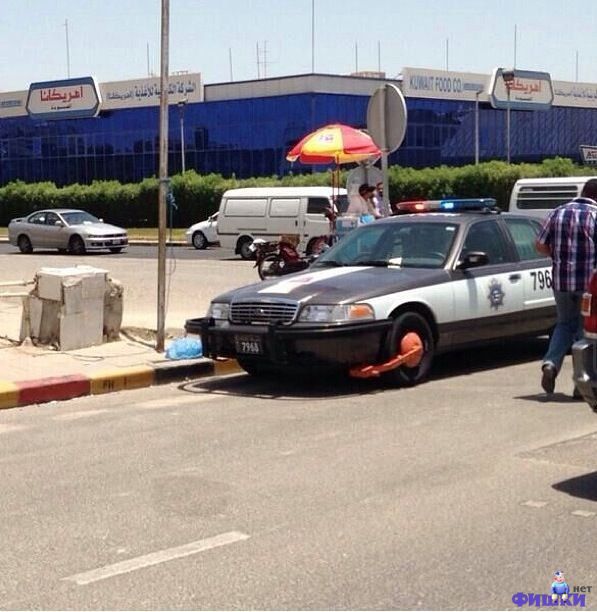 Фотоподборка автоприколов. Часть 36 авто, автоприколы, приколы
