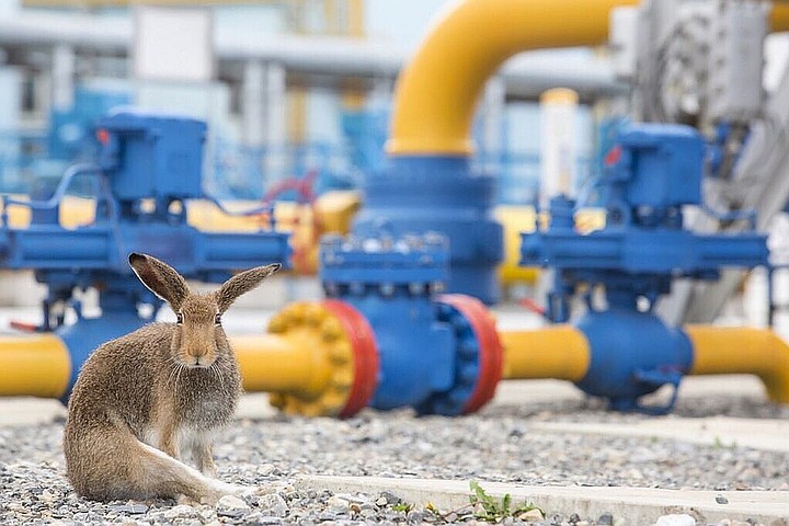 В Минэнерго Украины назвали предложения «Газпрома» неприемлемыми