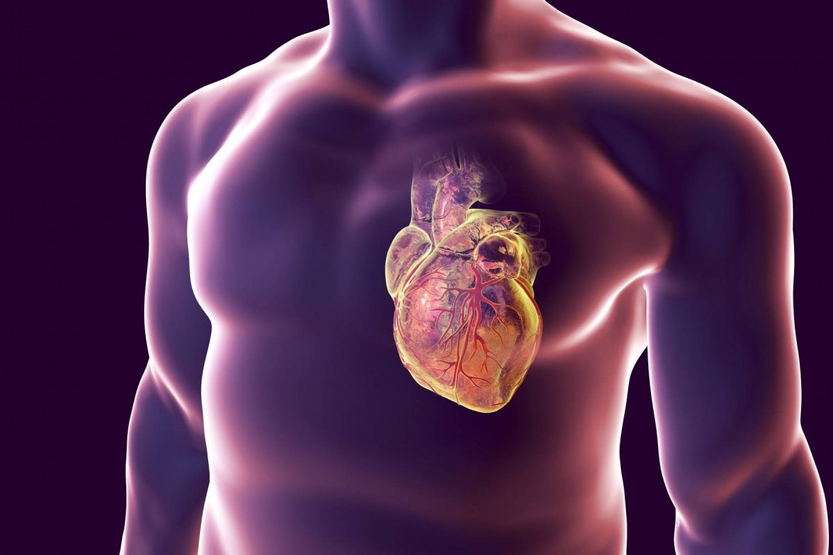 Кардиологи назвали простой способ, как самостоятельно проверить здоровье сердца