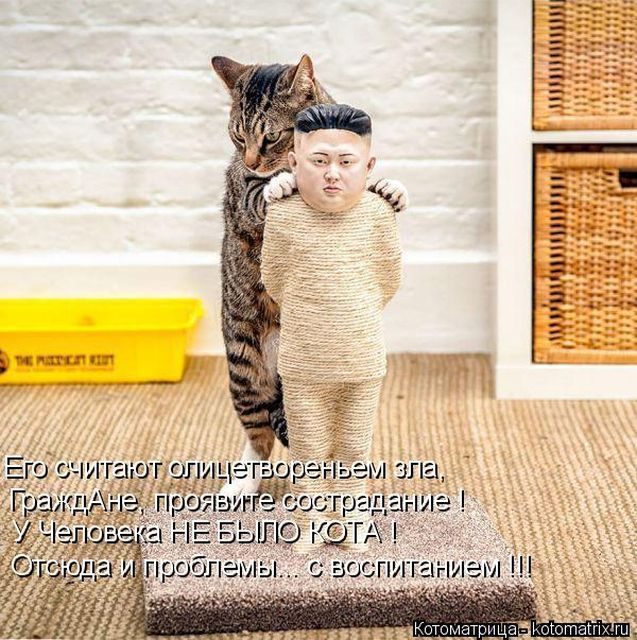 Котоматрицы для подзарядки позитивом))) Котоматрицы для подзарядки позитивом)))