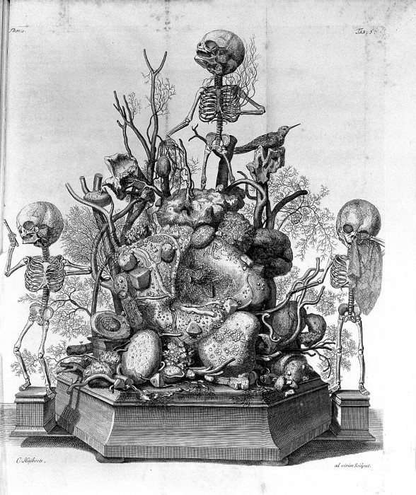 Гравюра из книги Opera omnia anatomico-medic Фредерика Рюйша. | Фото: upload.wikimedia.org. Гравюра из книги Opera omnia anatomico-medic Фредерика Рюйша. | Фото: upload.wikimedia.org.