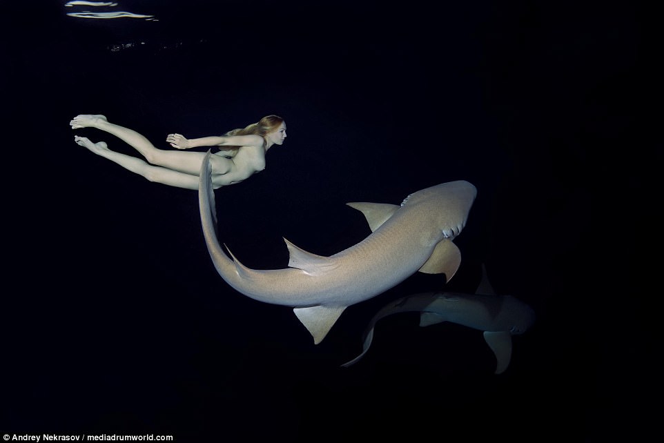 Потрясающие подводные кадры: обнаженная русская модель плавает с акулами