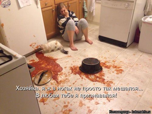 Самые уморительные котоматрицы) Самые уморительные котоматрицы)