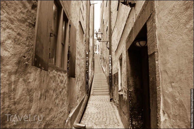 ���������. ������ ����� / ���� �� ������