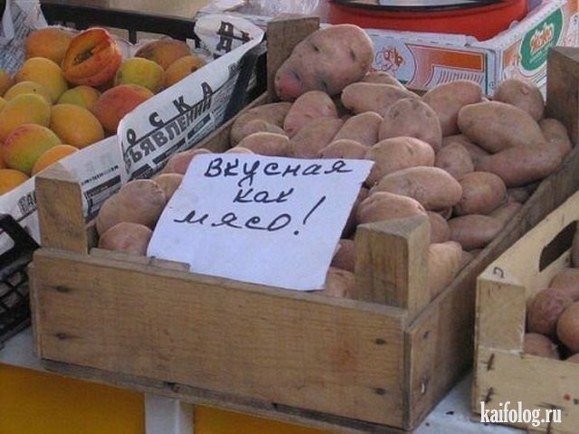 Картофельфест открыт (50 фото) Картофельфест открыт (50 фото)