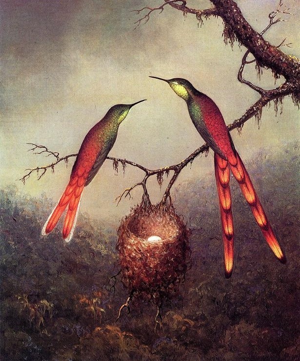 Цветы на картинах Martin Johnson Heade