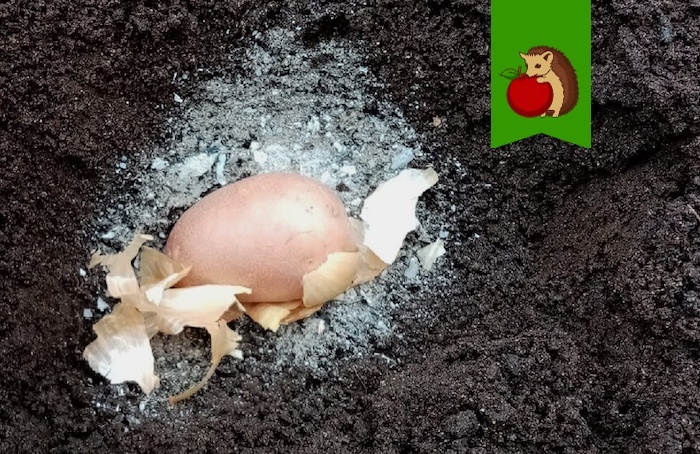 -3