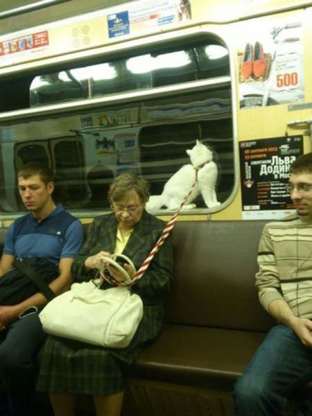 Россия, позитив, моменты, кадр