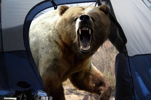 За секунду до… (12 фото) За секунду до… (12 фото)