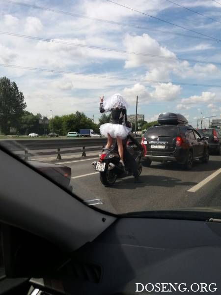 Прикольные картинки Прикольные картинки