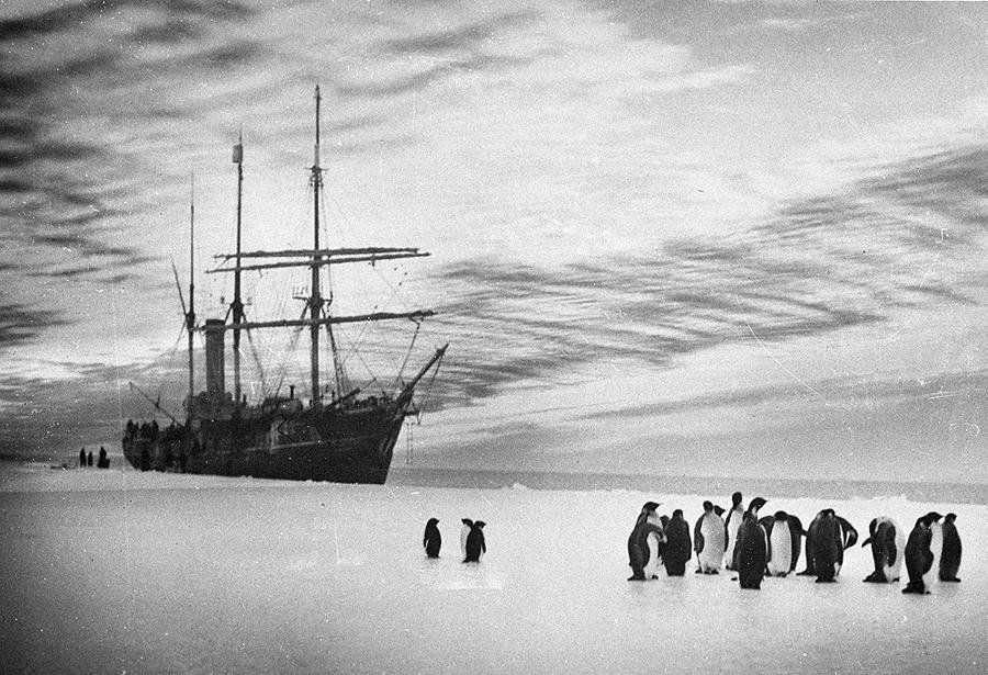 Фрэнк Хёрли: самые впечатляющие фотографии Антарктиды начала XX века