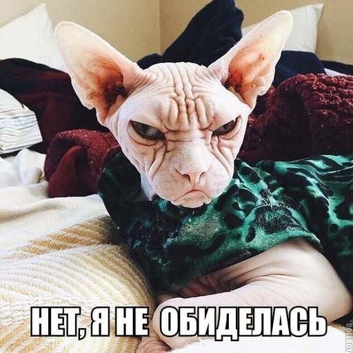 Обижаются по серьезному поводу - не нравится ей зеленый цвет)))) грустно, животные, обиделись, смешно