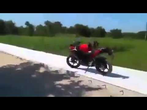 Обезьяна пытается угнать мотоцикл