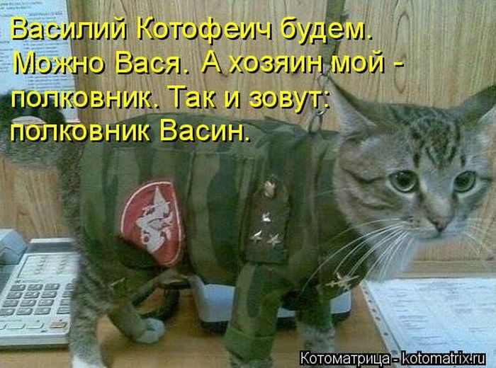 Самые весёлые котоматрицы)) Самые весёлые котоматрицы))