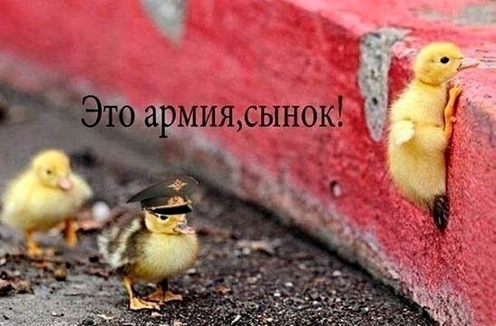Картинки с надписями,истории и анекдоты Картинки с надписями,истории и анекдоты