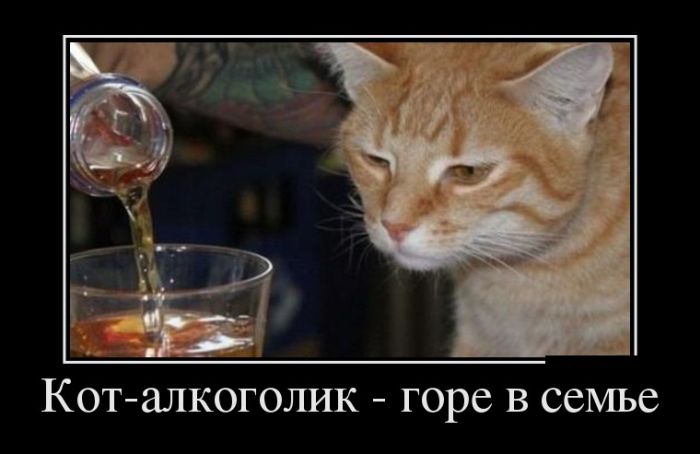 Позитивные и веселые демотиваторы со смыслом (10 фото) Позитивные и веселые демотиваторы со смыслом (10 фото)