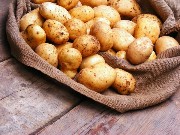 Лучшие способы зимнего хранения овощей Лучшие способы зимнего хранения овощей