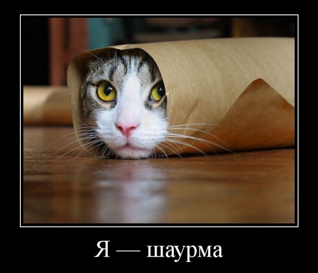 Демотиваторы отличной подборочкой для хорошего настроения!!! Демотиваторы отличной подборочкой для хорошего настроения!!!