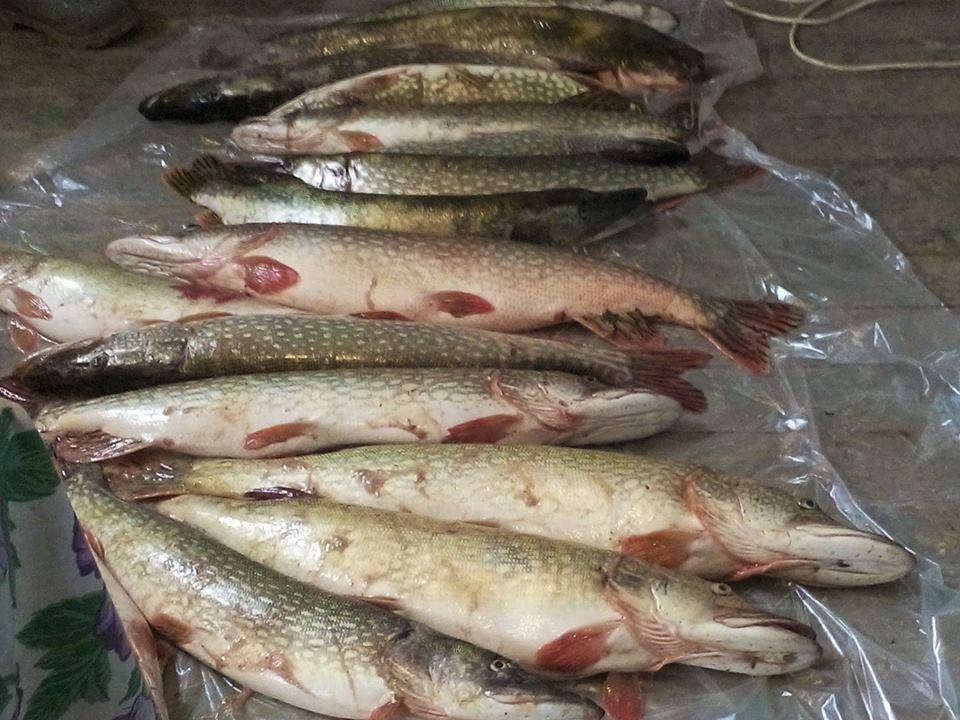 Продам земельный участок под Тур Базу. Астраханской обл. Продам земельный участок под Тур Базу. Астраханской обл.