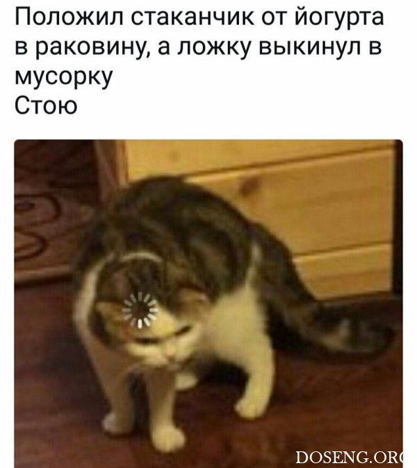 Прикольные картинки Прикольные картинки