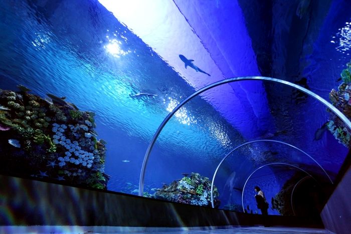 Уникальный океанариум «Голубая планета» в Дании  дания, океанариум