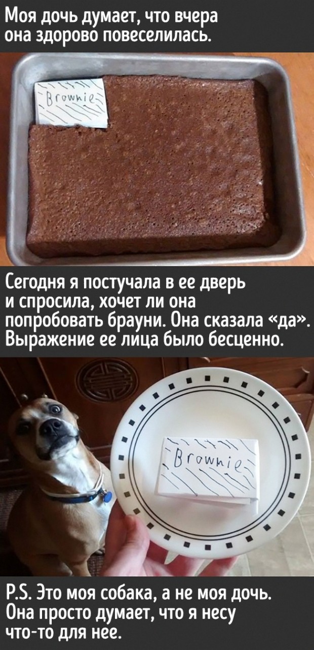 Жизнь с детьми никогда не бывает скучной, ведь они то и дело преподносят сюрпризы... Жизнь с детьми никогда не бывает скучной, ведь они то и дело преподносят сюрпризы...
