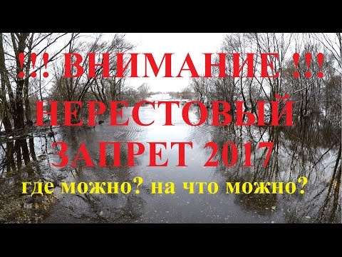 Правила нерестового запрета в слайдах. 2017 г. Правила нерестового запрета в слайдах. 2017 г.