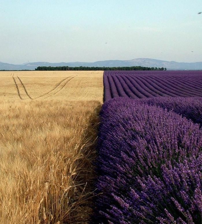 Ни грамма Фотошопа