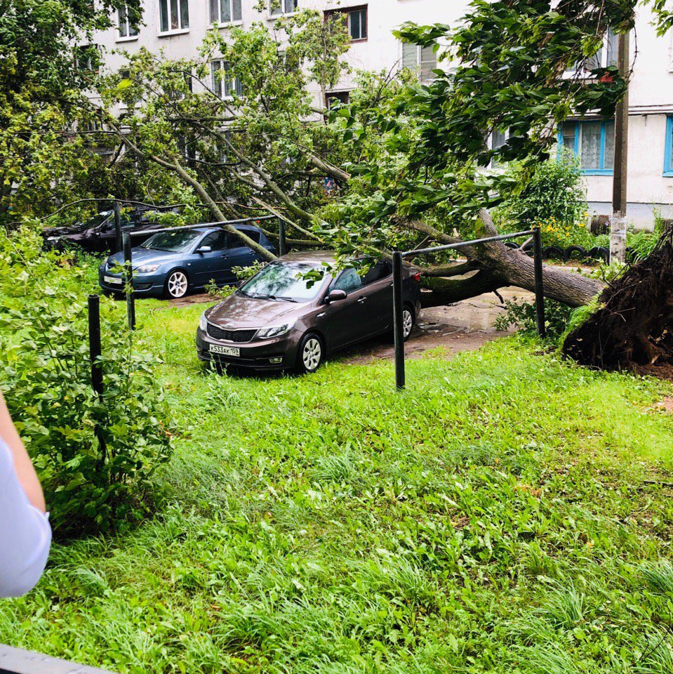 https://360tv.ru/media/uploads/article_images/2019/08/43659_vk.com_podchaik1.jpg