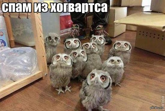 http://s.pikabu.ru/post_img/2014/01/04/11/1388859209_1037705059.jpg
