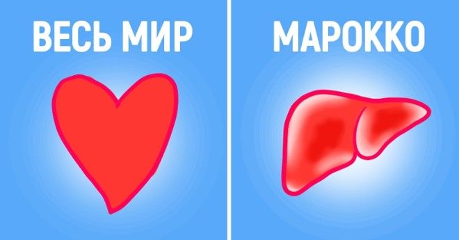 L13 фактов о Марокко про который все слышали но никто ничего не знает