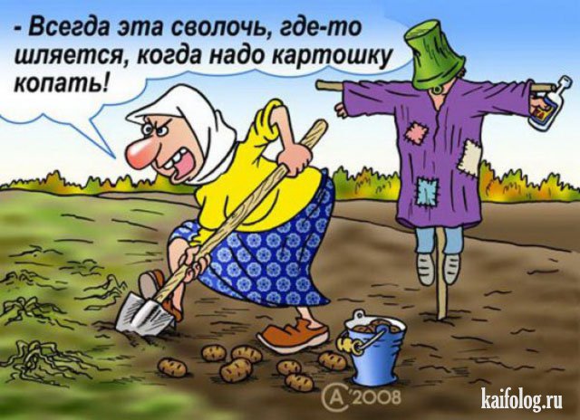 Картофельфест открыт (50 фото) Картофельфест открыт (50 фото)