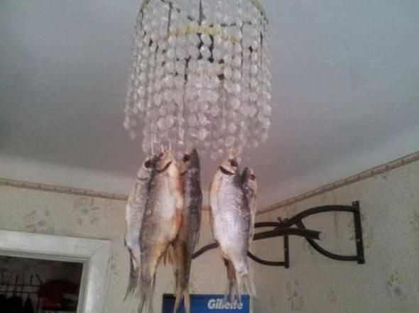 Россия, позитив, моменты, кадр