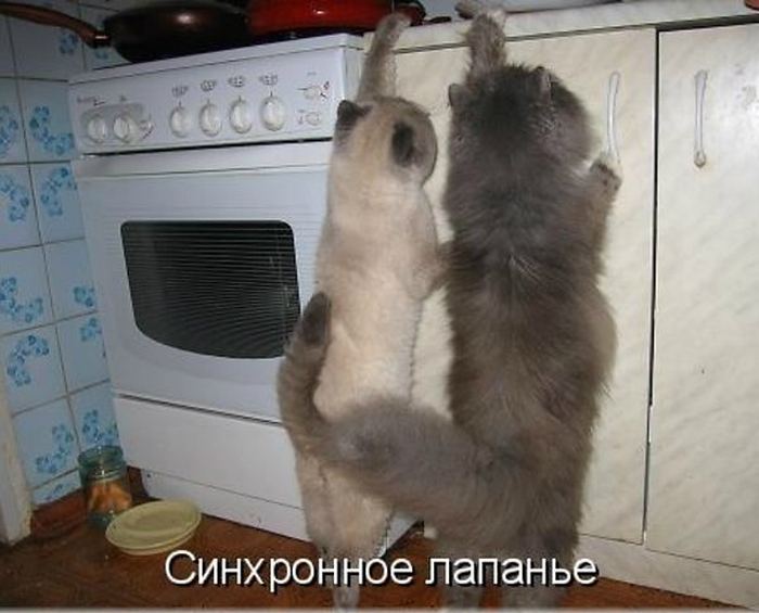 Давайте улыбаться вместе!