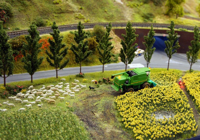 макет, Россия, Санкт-Петербург