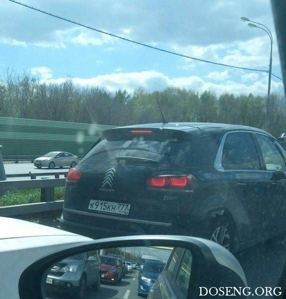 Прикольные картинки Прикольные картинки