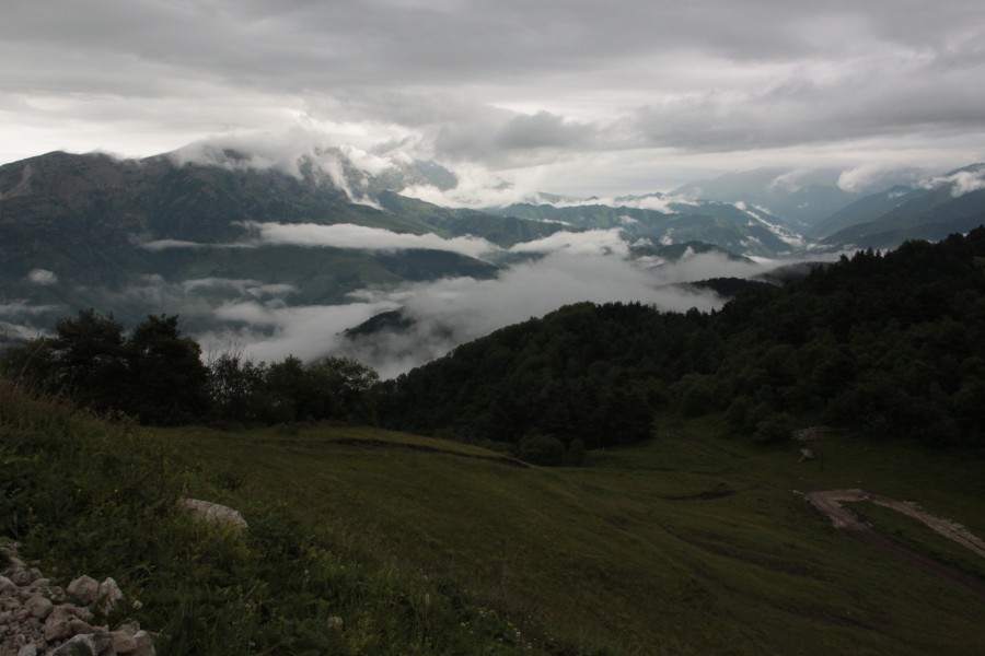 IMG_8308 IMG_8308