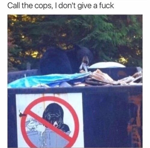 tk random memes that made us spit out our morning coffee this week 243 Random memes that made us spit out our morning coffee this week (59 photos)