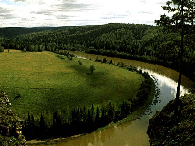 0003-003-Znachenie-Sibirskoj-tajgi