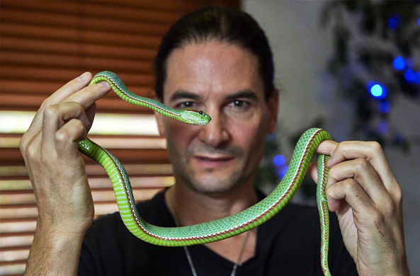 Странное увлечение любителя змеиного яда оказалось полезным для медицины