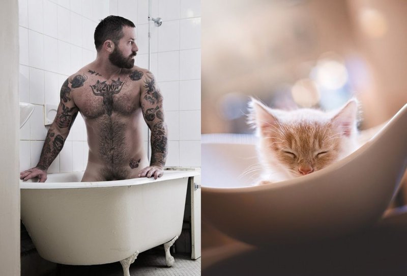 20 забавных коллажей, на которых наглядно видно, что у котов и красивых мужчин есть что-то общее 20 забавных коллажей, на которых наглядно видно, что у котов и красивых мужчин есть что-то общее животные, кот, кошки, мужчина, поза, прикол, юмор