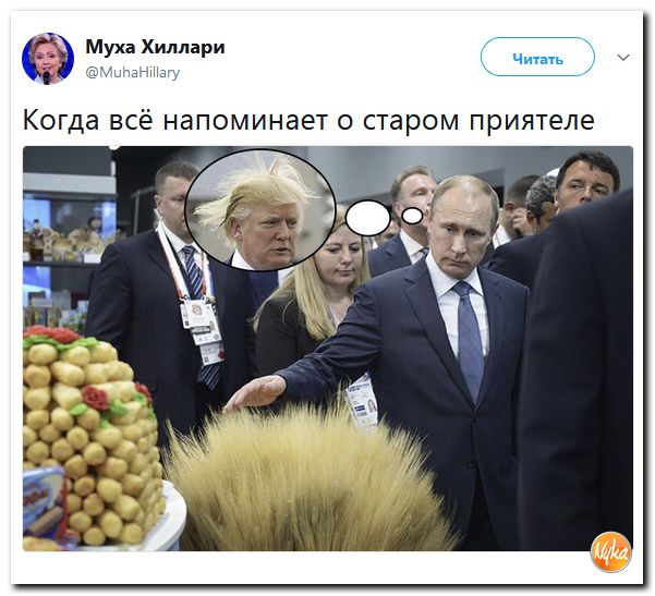 Злобные (сарказм) комментарии о последних событиях в мире Злобные (сарказм) комментарии о последних событиях в мире