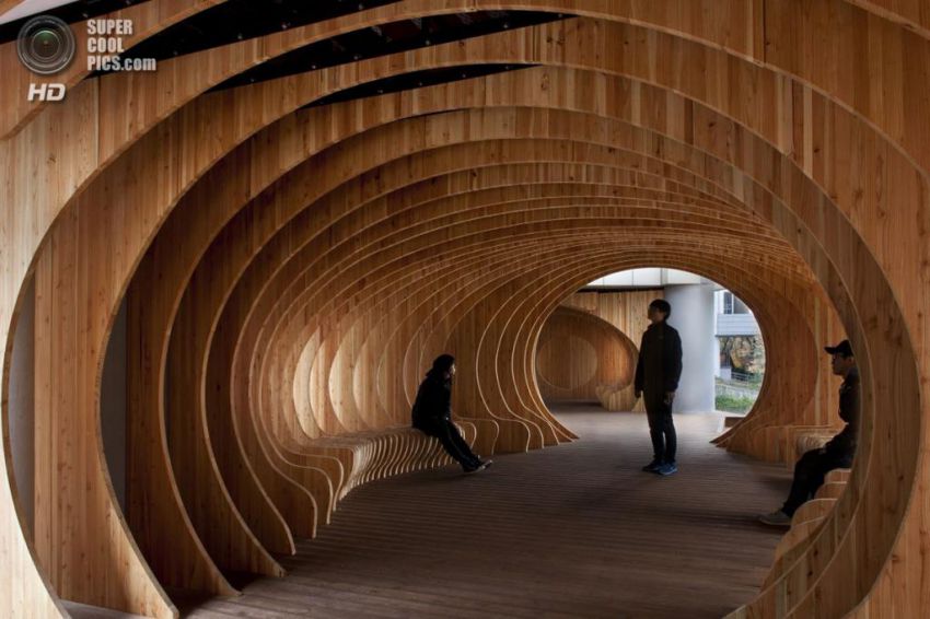 студент, отдых