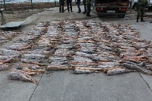 Краснокнижная рыба и плавсредство изъяты Краснокнижная рыба и плавсредство изъяты