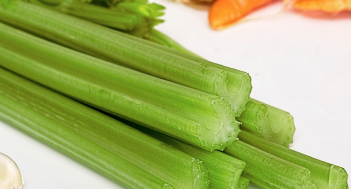 7-unbelievable-amazing-reasons-start-eating-celery-evening