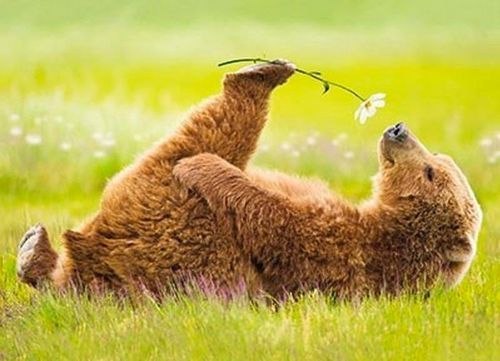 Поднимаем настроение! Весна! Поднимаем настроение! Весна!